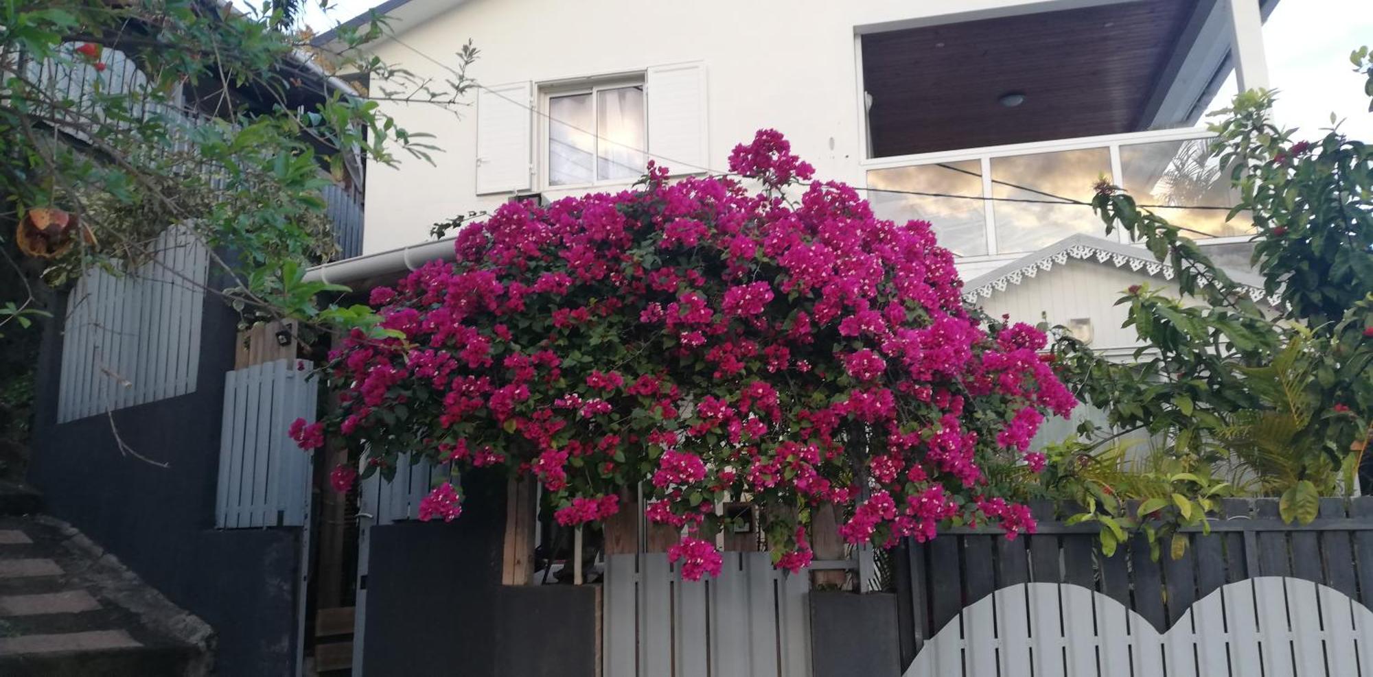 Apartamento La CAZ A NOU Saint Pierre Exterior foto